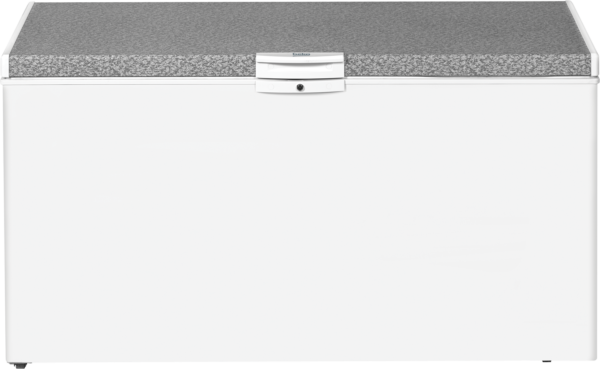 HS530: Freezer (Chest, 481 L)