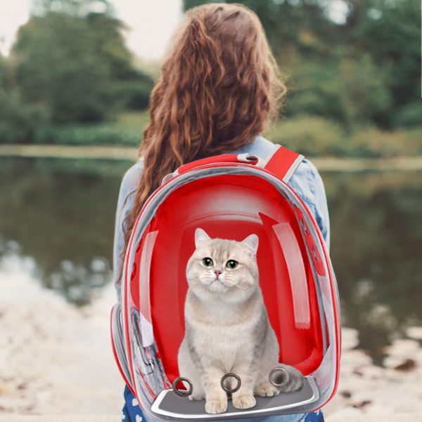 Space Capsule Pet Backpack Carrier Bubble Carrying Bag for Dogs/Cats/Birds/Rabbits - Image 3