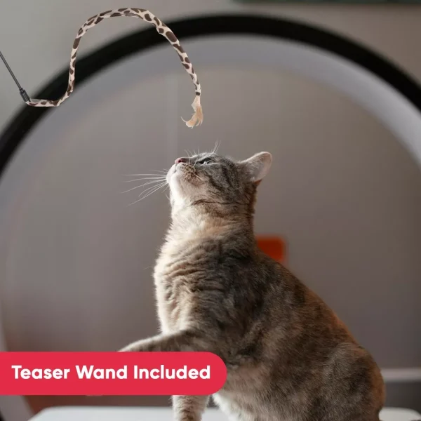 Interactive Indoor Kitten/Cat Toy Set (Including Cat Tunnel) - Image 6