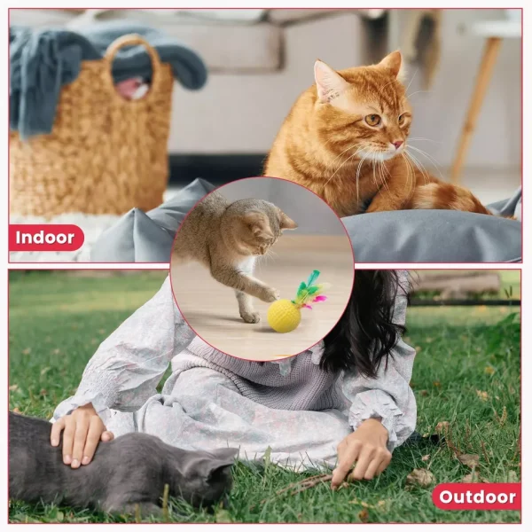 Interactive Indoor Kitten/Cat Toy Set (Including Cat Tunnel) - Image 8